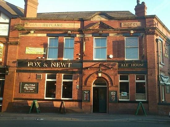 The Fox and Newt